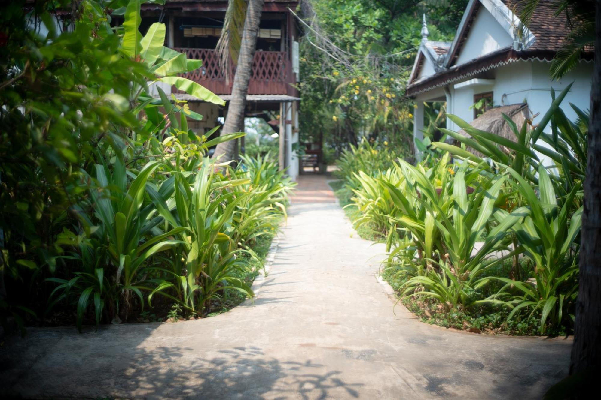โรงแรมแซมบอร์ วิลเลจ กำปงธม ภายนอก รูปภาพ